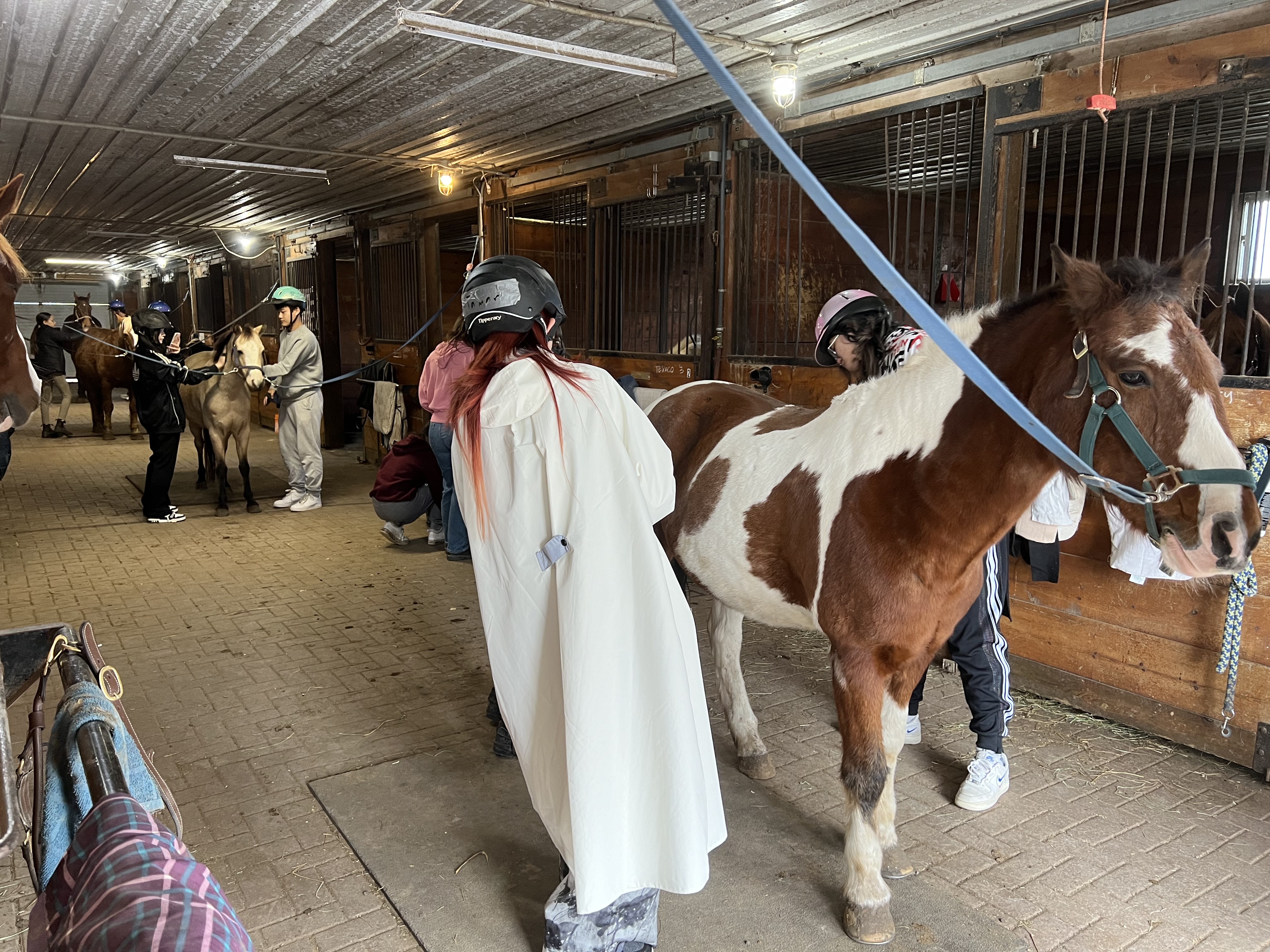 Horse Riding — photo 12